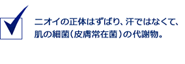 ニオイの正体はずばり、汗ではなくて肌の細菌（皮膚常在菌）の代謝物。