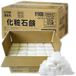 お得な業務用100g×120個入り！