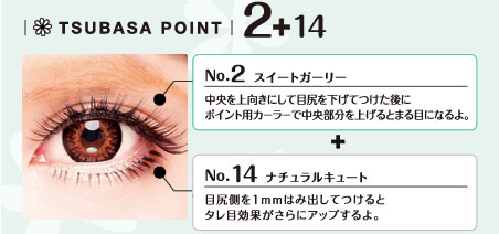 No.2スイートガール
中央を上向きにつけ、目尻側を下向きにつけた後にポイント用カーラーで中央部分を上げるとまる目になるよ。
＋No.14ナチュラルキュート
目尻側を1mmはみ出してつけるとタレ目効果がさらにアップするよ。