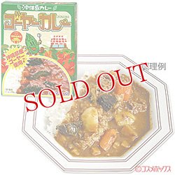 画像1: ●2個セット販売　沖縄ハム　ゴーヤーカレー　180g　【カレーライス】