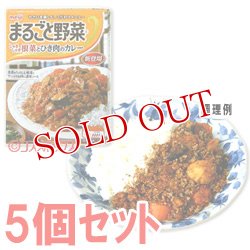 画像1: 明治　まるごと野菜　しゃきしゃき根菜とひき肉のカレー　180g(1人分)×5個セット　meiji