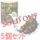 明治　男の極旨　黒カレー　スパイシー中辛　180g(1人分)×5個セット　meiji