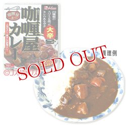 画像1: ハウス　カリー屋カレー　大辛　200g(1人分)　House