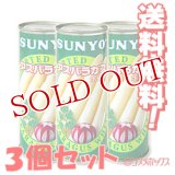 SUNYO　アスパラガス　ホワイト　固形量160g（内容総量250g）×3個セット