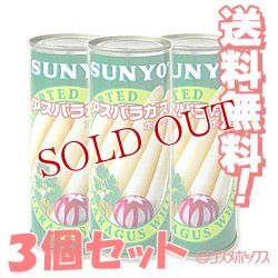 画像1: SUNYO　アスパラガス　ホワイト　固形量160g（内容総量250g）×3個セット