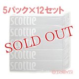 ケース販売　日本製紙クレシア　スコッティ　ティシュー　400枚（200組）×5箱パック×12セット　scottie