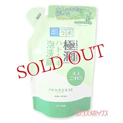 画像1: ロート製薬　肌研（ハダラボ）　極潤　ハトムギ泡洗顔　つめかえ用　140ml　hadalabo　ROHTO