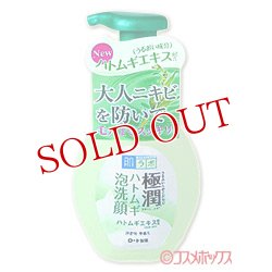 画像1: ロート製薬　肌研（ハダラボ）　極潤　ハトムギ泡洗顔　160ml　hadalabo　ROHTO