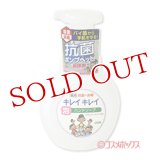 キレイキレイ 薬用泡ハンドソープ シトラスフルーティの香り ポンプ 医薬部外品 250ml ライオン(LION)