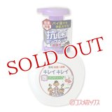 キレイキレイ 薬用泡ハンドソープ フローラルソープの香り ポンプ 医薬部外品 250ml ライオン(LION)