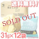 ●送料無料　ケース販売　テラフーズ　焼きじゃが　うすしお味　31g×12袋入り