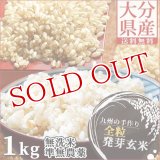 【ゆうパケット送料無料】大分県産 無洗米 手作り発芽玄米 お試し 1kg(真空パック) 準無農薬(減農薬) スタリオン日田