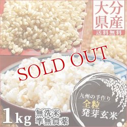 画像1: 【ゆうパケット送料無料】大分県産 無洗米 手作り発芽玄米 お試し 1kg(真空パック) 準無農薬(減農薬) スタリオン日田