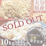 【送料無料】大分県産 無洗米 手作り発芽玄米 10kg(真空パック1kg×10袋) 準無農薬(減農薬) スタリオン日田