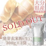 【送料無料】大分県産 発芽玄米粉(生) 900g(300g×3袋) スタリオン日田