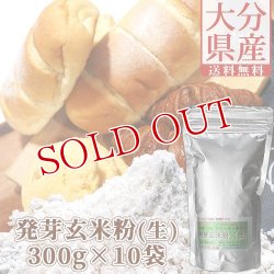 画像1: 【送料無料】大分県産 発芽玄米粉(生) 3000g(300g×10袋) スタリオン日田