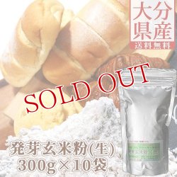 画像1: 【送料無料】大分県産 発芽玄米粉(生) 3000g(300g×10袋) スタリオン日田