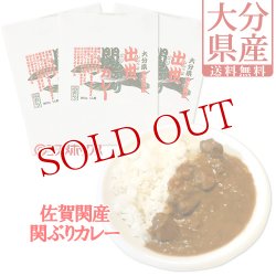 画像1: 【ゆうパケット送料無料】富士見水産 出世関ぶりカレー 180g×3