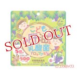 ユニマットリケン(UNIMAT RIKEN) こども肝油＆乳酸菌ドロップグミ ぶどう味 100粒