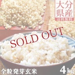 画像1: 【送料無料】大分県産 無洗米 手作り発芽玄米 4kg(1kg真空パック×4袋) 準無農薬(減農薬) スタリオン日田