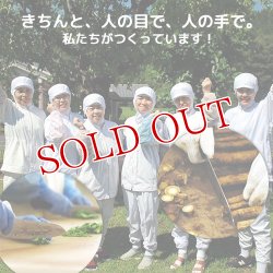 画像6: VEGIMARI(ベジマリ) 無添加 にんじんパウダー 50g 村ネットワーク