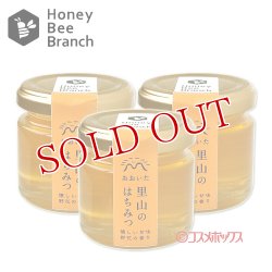 画像1: 枝次養蜂園 おおいた里山のはちみつ 味くらべボトルシリーズ 90g×3【送料無料】