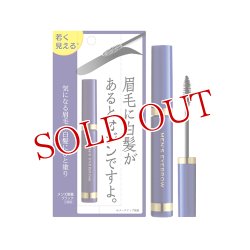 画像1: メンズ眉墨 ブラック 5g ビナ薬粧