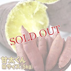 画像2: 高糖度甘藷(さつまいも) 甘太くん Mサイズ 5kg 化粧箱入り【送料無料】