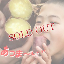 画像3: 高糖度甘藷(さつまいも) 甘太くん 2Lサイズ 5kg 化粧箱入り【送料無料】