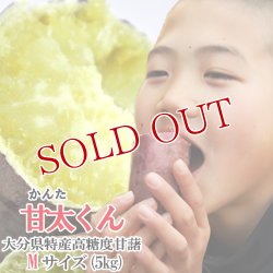 画像1: 高糖度甘藷(さつまいも) 甘太くん Mサイズ 5kg 化粧箱入り【送料無料】
