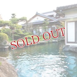 画像7: スッポンゴールドドリンク 100ml×10 本家活宝 安心院亭【送料無料】