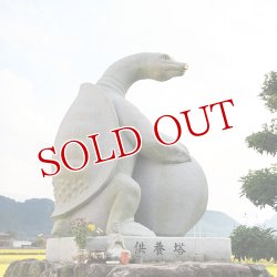 画像4: スッポン ジュレ まるまる コラーゲン ゼリー レモン味 125g×3 本家活宝 安心院亭【送料無料】