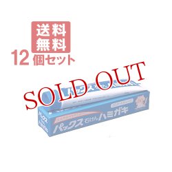 画像1: パックス 石けん ハミガキ 140g×12個セット PAX 太陽油脂【送料無料】