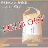 大分県竹田市産 ひとめぼれ 特別栽培米【無農薬】「てん米もり」9kg たなべ農園【送料無料】