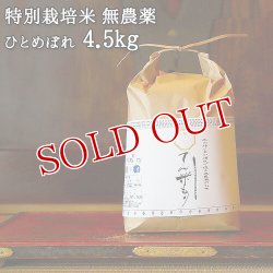 画像1: 大分県竹田市産 ひとめぼれ 特別栽培米【無農薬】「てん米もり」4.5kg たなべ農園【送料無料】