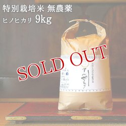 画像1: 大分県竹田市産 ヒノヒカリ 特別栽培米【無農薬】「てん米もり」9kg たなべ農園【送料無料】