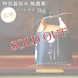 画像1: 大分県竹田市産 ヒノヒカリ 特別栽培米(玄米)【無農薬】「てん米もり」3kg【送料無料】
