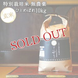画像1: 大分県竹田市産 ひとめぼれ 特別栽培米(玄米)【無農薬】「てん米もり」10kg【送料無料】