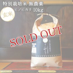 画像1: 大分県竹田市産 ヒノヒカリ 特別栽培米(玄米)【無農薬】「てん米もり」10kg【送料無料】