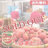 エム・ナイン トマトケチャップ 385g×3本セット【送料無料】