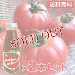 画像1: エム・ナイン トマトケチャップ 385g×2本セット【送料無料】