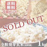 大分県産 無洗米 手作り発芽玄米 お試し 1kg×3袋セット 真空パック 準無農薬(減農薬) スタリオン日田 【送料無料】