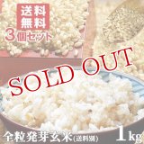 大分県産 無洗米 手作り発芽玄米 お試し 1kg×3袋セット 真空パック 準無農薬(減農薬) スタリオン日田 【送料無料】