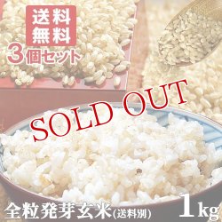 画像1: 大分県産 無洗米 手作り発芽玄米 お試し 1kg×3袋セット 真空パック 準無農薬(減農薬) スタリオン日田 【送料無料】