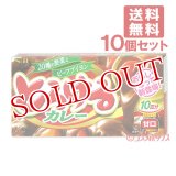 エスビー　とろけるカレー　甘口　180g　10皿分（5皿分×2）×10個　S&B