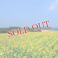 画像3: 油花 花の岬 ひまわり油 660g