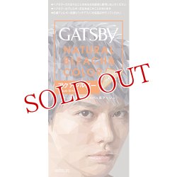 画像1: マンダム ギャツビー ナチュラルブリーチカラー アクアシルバー GATSBY MANDOM