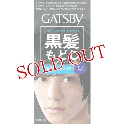 画像1: マンダム ギャツビー ターンカラー スモーキーブラック 髪の色もどし アッシュ系の黒髪 MANDOM GATSBY