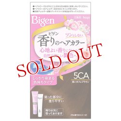 画像1: ビゲン(Bigen) 香りのヘアカラー クリーム 5CA 深いカフェブラウン ホーユー(hoyu) 白髪染め