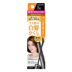 画像1: サロンドプロ　カラーオンリタッチ　白髪かくしEX　明るいライトブラウン　SALONde PRO　DARIYA